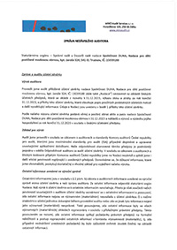 Zprva auditora za rok 2023